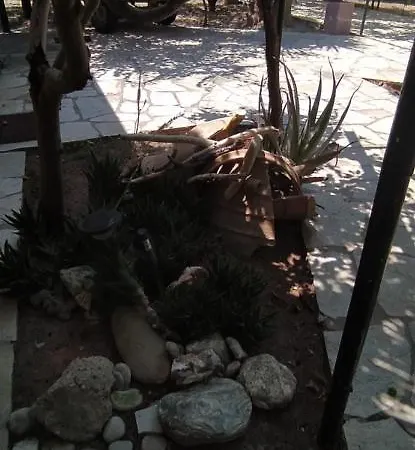 Cozy House In Samoutani Vrachati