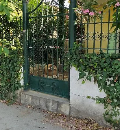 Cozy House In Samoutani